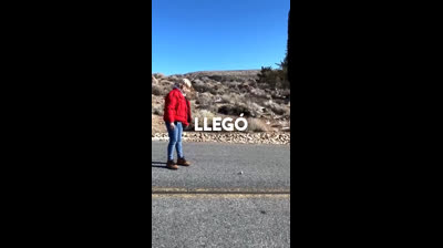 Videos Graciosos de Animales en Situaciones Inesperadas