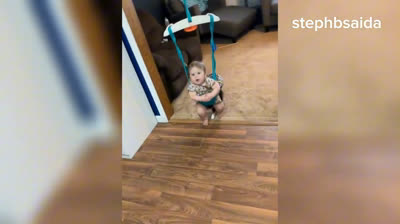 Carcajadas Aseguradas: Los Animales Más Graciosos en Acción