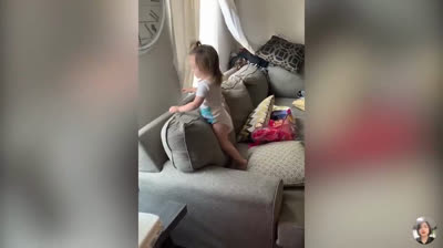 Diversión Peluda: Los Videos Más Divertidos de Animales Domésticos