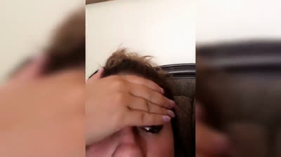 Risoterapia Animal: Risas y Buen Humor con Estos Videos