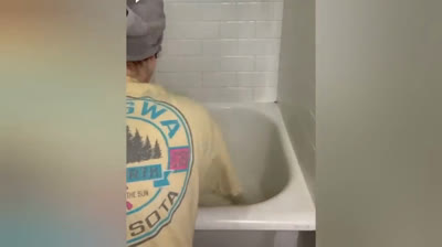 Ríete con Ellos: Videos de Animales Haciendo Locuras