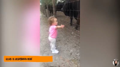 Risas a Mansalva: Videos Chistosos de Animales en Acción