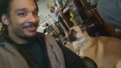 Risas y Más Risas: Los Momentos Más Graciosos de Nuestros Amigos Peludos