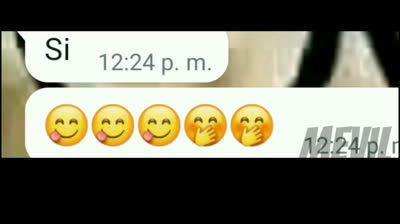 Los videos más divertidos para WhatsApp que te harán reír sin parar