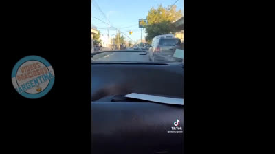 WhatsApp humor: la selección definitiva de videos graciosos que debes ver