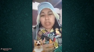 ¡No te aguantes la risa! Los videos más divertidos para enviar por WhatsApp