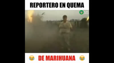 WhatsApp humorístico: una selección de videos que te harán llorar de la risa