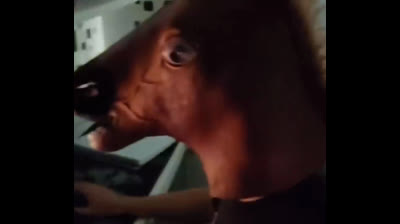 Diversión garantizada: la selección definitiva de videos graciosos para WhatsApp