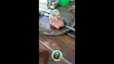 Risas express: los videos cortos más graciosos para enviar por WhatsApp