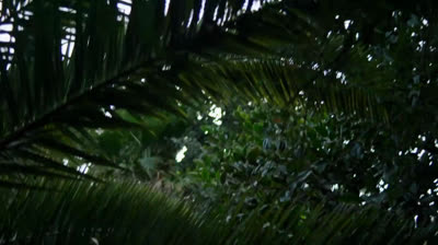 INCONTRI PERICOLOSI  1