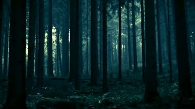 Video di Natura Gratis: Paesaggi Meravigliosi