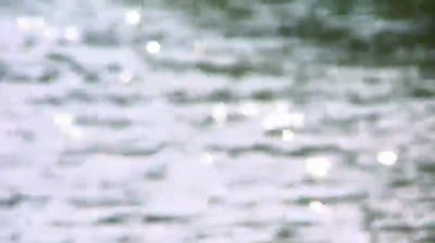 Travel the World with Free Nature Videos