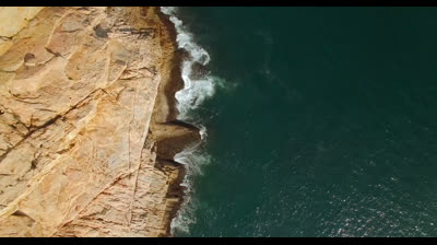 Free Nature Videos: Enchanted Forests