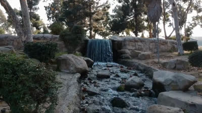 The Beauty of the Sea in Free Nature Videos