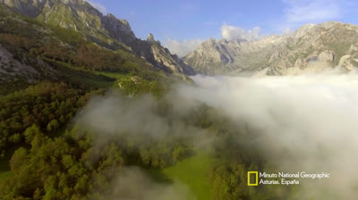 Free Nature Videos: Stunning Deserts