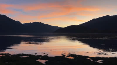 Relax with Free Nature Videos