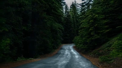 Free Nature Videos: Magical Sunsets