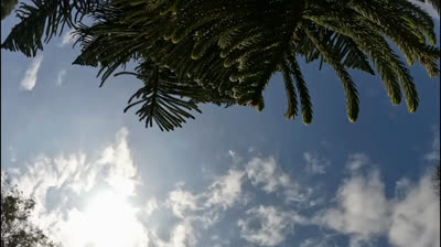 Free Nature Videos: Snowy Mountains