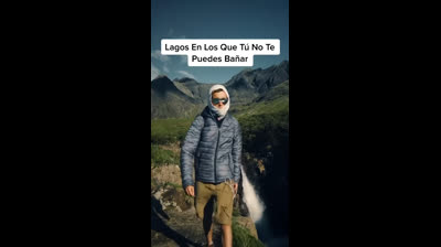 Free Nature Videos: Wildlife in Action