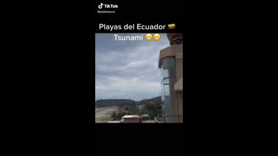 Explore the Jungle with Free Nature Videos