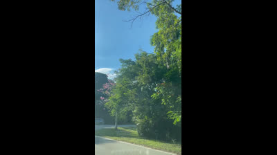 Free Nature Videos to Feel Peaceful