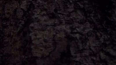 Free Nature Videos: Snow and Glaciers