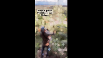 Video di Natura Gratis: La Bellezza della Campagna