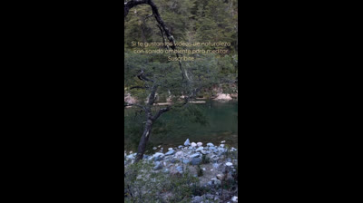 Virtual Escapes with Free Nature Videos