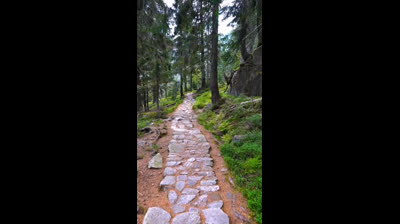 Free Nature Videos to Reduce Stress