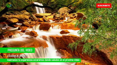 Free Nature Videos: Roads and Trails