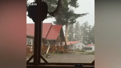 Free Nature Videos: Natural Treasures