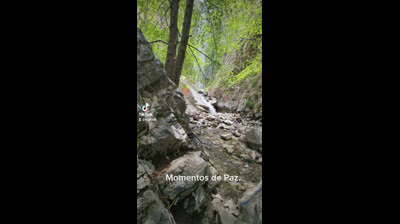 Free Nature Videos: Spring in Full Bloom