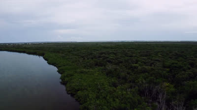 INCONTRI  PERICOLOSI  10