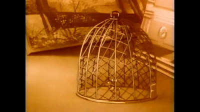 porky al chiaro 1941