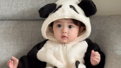Adorable baby panda