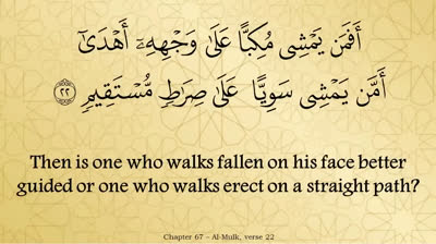 Juz 29 - English Translation of the Noble Quran