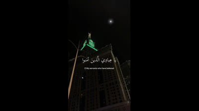 ﴿ يَا عبادِي الذِين آمنُوا إِن ارضِي وَاسِعَة ﴾ سوره العنكبوت، عبدالرحمن مسعد #ارح_قلبك #قران_كريم