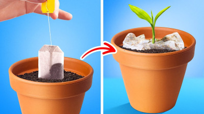 Astuces de Jardinage Maison