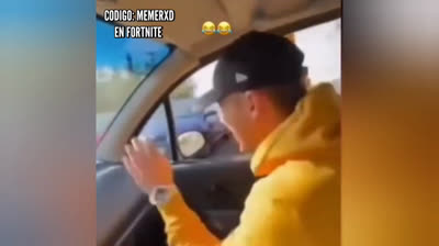 Animaux Drôles 2024 : Moments Adorables