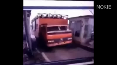 Vidéos Virales 2024 : Comédie de l'Année