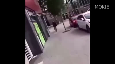 Funny Cats and Dogs 2024: Assured Fun