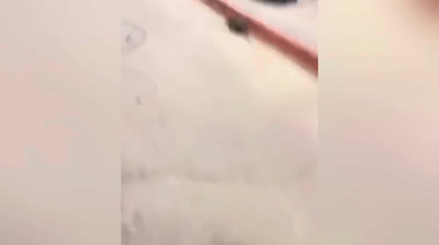 Falhas nos Esportes 2024: Momentos Cômicos