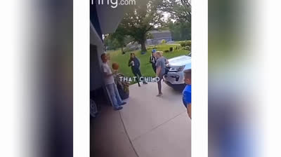 Bêtises d'Animaux 2024 : Moments Adorables