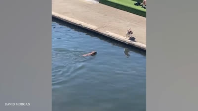 Bromas Caseras 2024: Diversión en Casa