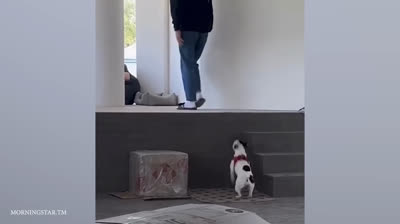 Family Laughter 2024: Unforgettable Moments