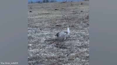 Niños Graciosos 2024: Risas Infantiles