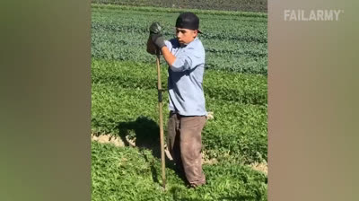 Video di Scherzi 2024: Risate Istantanee