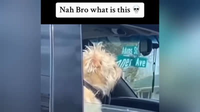 Video di Scherzi Pesanti 2024: Risate Pesanti