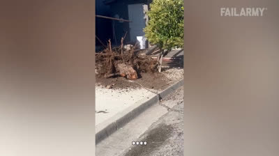 Alltagsfahls 2024: Komische Momente