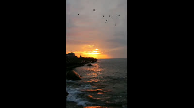 Pause and Relax: Relaxation Videos